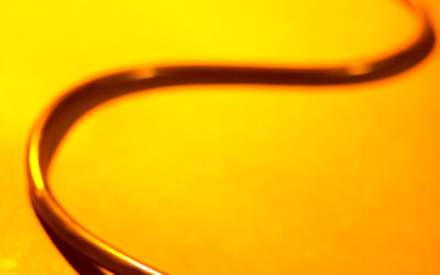 El médico referente, un profesional indispensable para nuestra salud